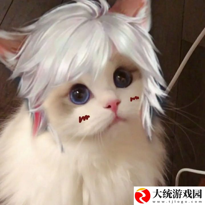 王者荣耀五黑头像猫咪