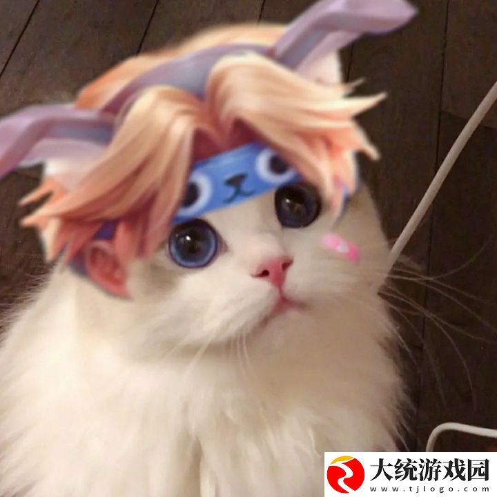王者荣耀五黑头像猫咪