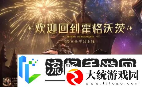 哈利波特魔法觉醒针对龙蛋流怎么配