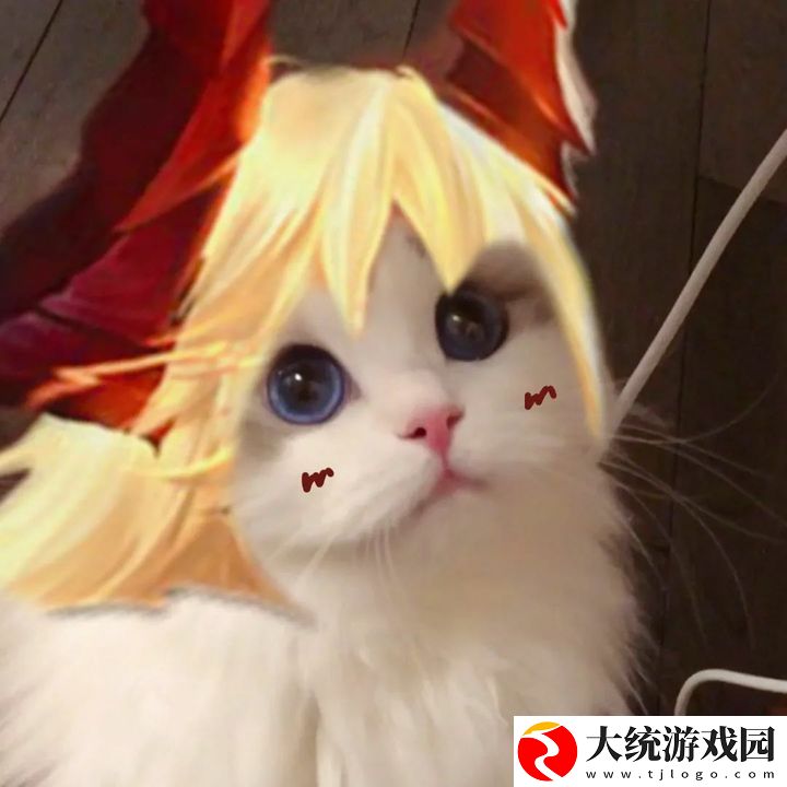 王者荣耀五黑头像猫咪