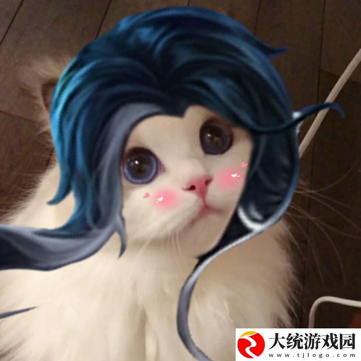 王者荣耀五黑头像猫咪