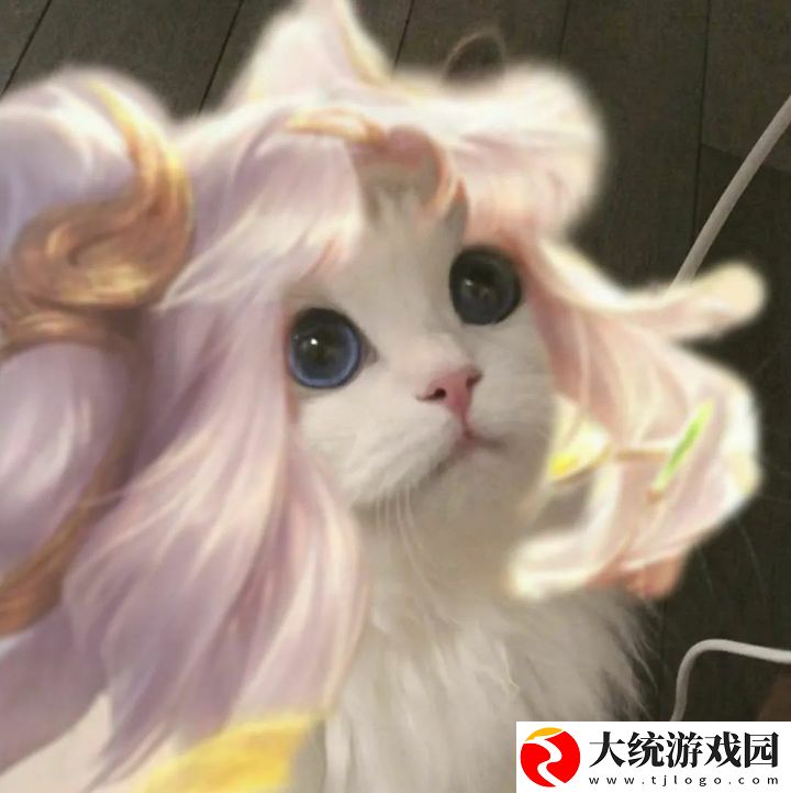 王者荣耀五黑头像猫咪