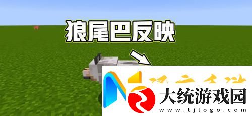 我的世界新版本驯狼秘籍与养狼全攻略