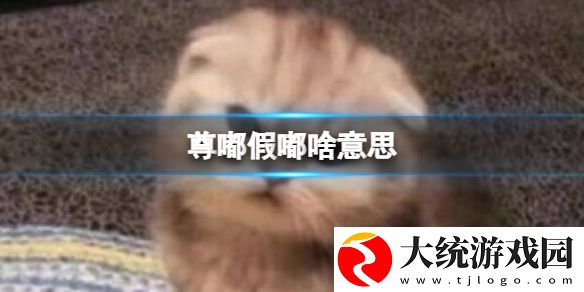 尊嘟假嘟什么意思