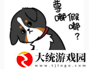 尊嘟假嘟什么意思