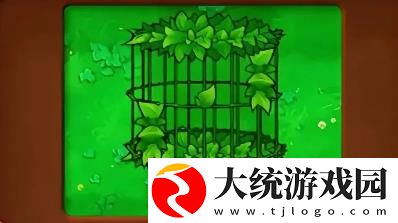 植物大战僵尸杂交版钻卡植物有哪些