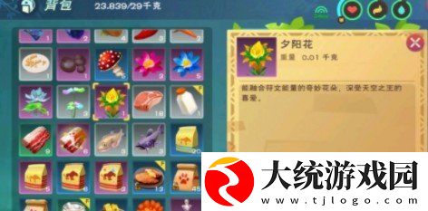 创造与魔法夕阳花在哪