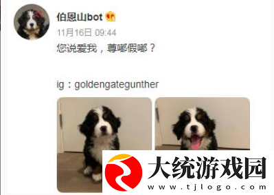 尊嘟假嘟什么意思