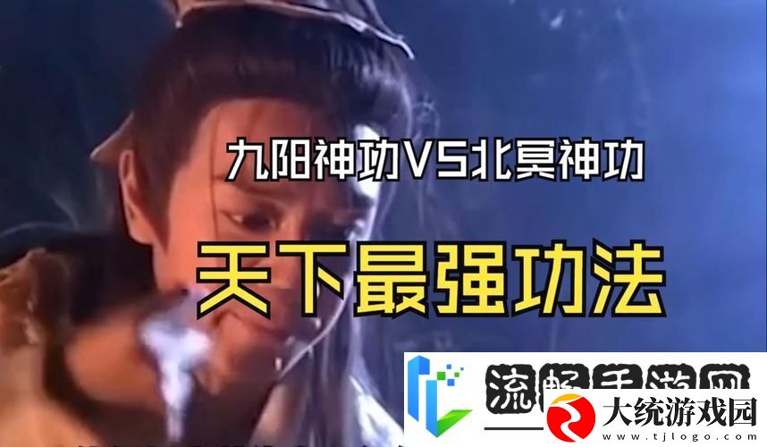 九阴真经VS九阳神功