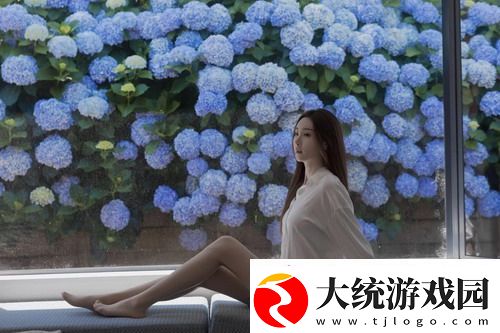 在网站的海洋中