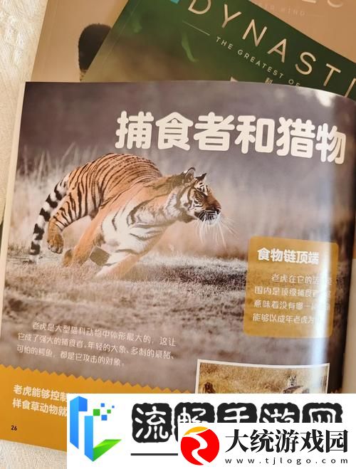 流放之路奇遇