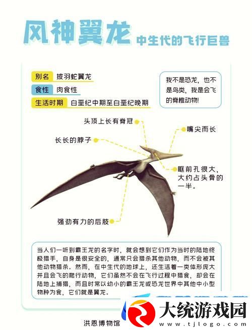 方舟手游探索指南