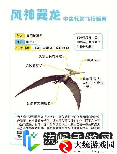 方舟手游探索指南