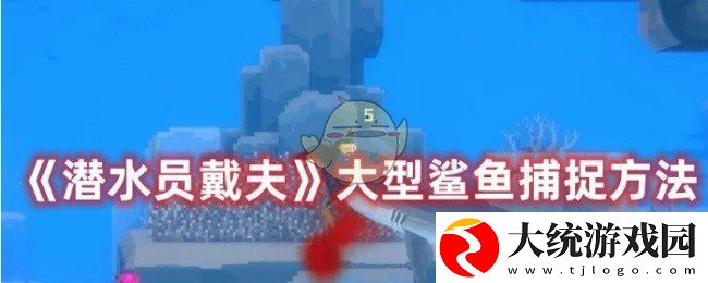 潜水员戴夫怎么捕捉大型鲨鱼