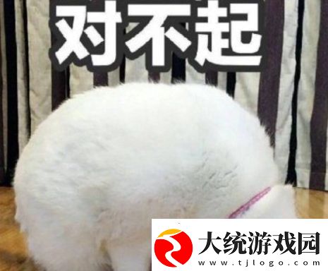 寸不已是什么梗络用语