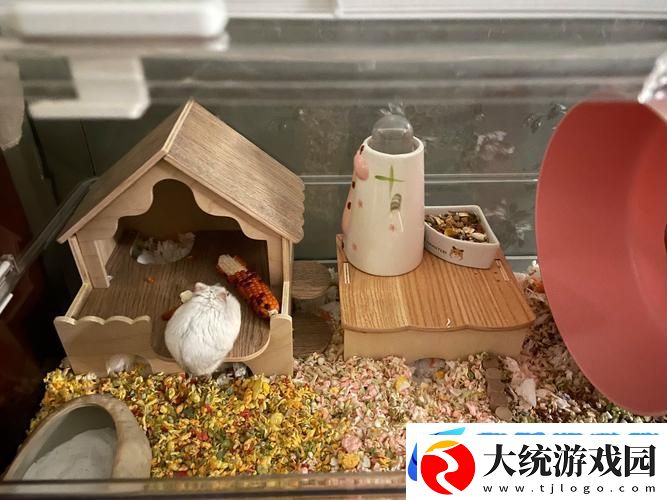 我给仓鼠盖别墅2