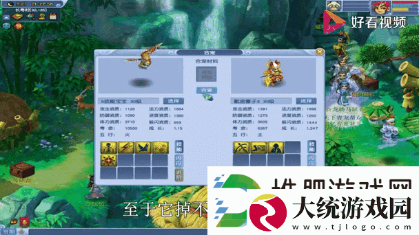 梦幻西游新宠爆料