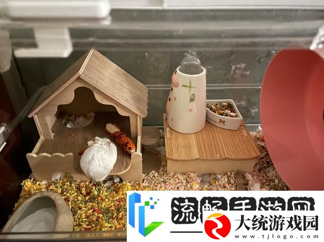 我给仓鼠盖别墅2