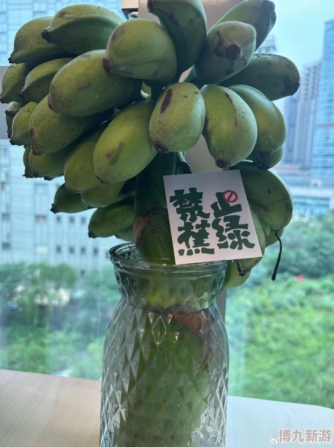大狠狠大臿蕉香蕉大视频