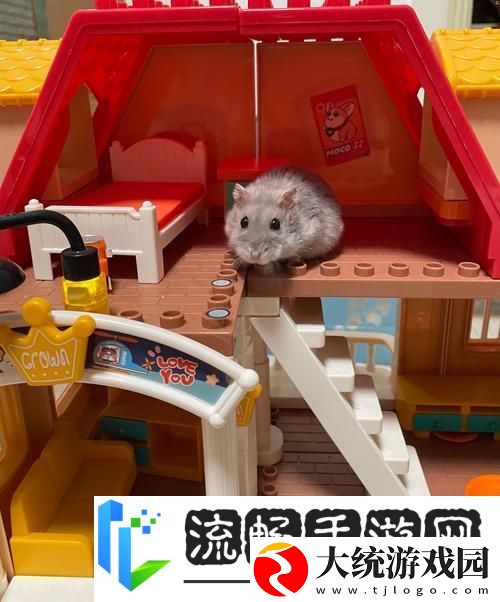 我给仓鼠盖别墅2