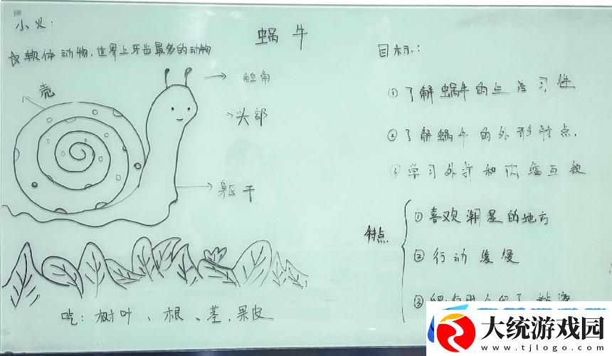 探秘心灵深处