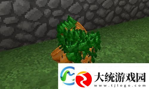 gtaol2024年最强跑车排行榜最新消息