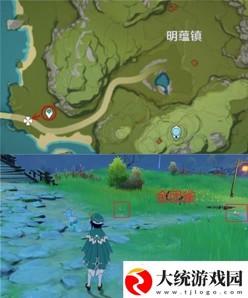 原神金团雀在哪里捕捉