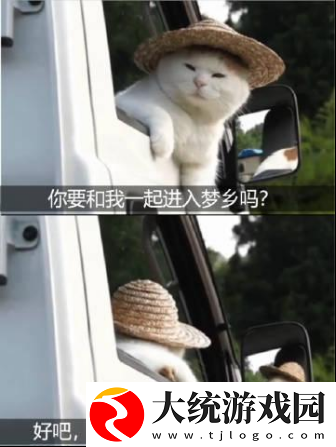 日本又来发对象了