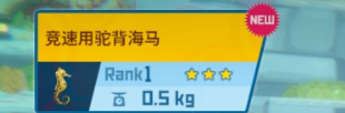 戴夫潜水员怎么抓海马