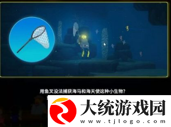 戴夫潜水员怎么抓海马