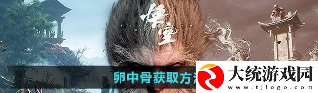 黑神话悟空卵中骨怎么获得