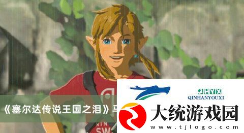 塞尔达传说王国之泪马亚奇诺乌神庙怎么过