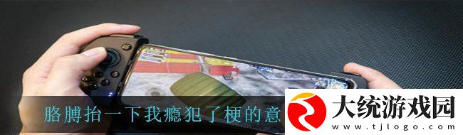胳膊抬一下我瘾犯了是什么梗