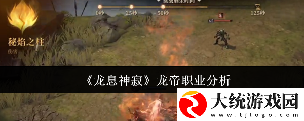 龙息神寂龙帝是哪个职业