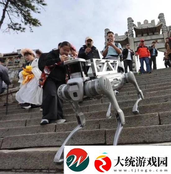 机器狗在泰山“入职”