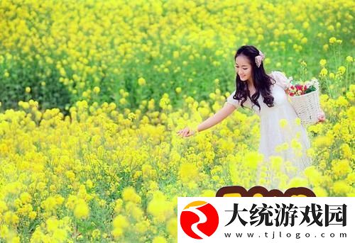 无人区免费电影入口
