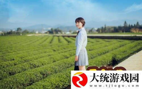 点击进入一线路二
