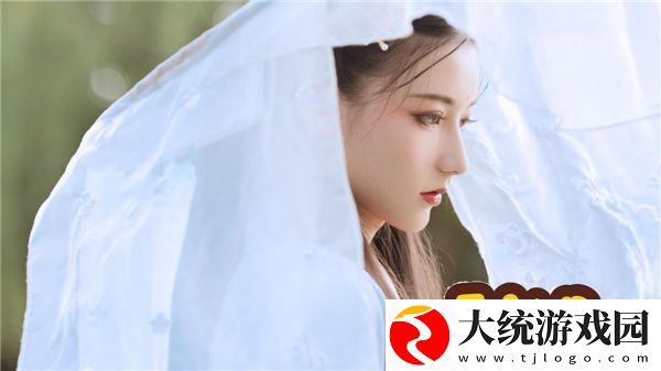 w71喷枪w77喷嘴