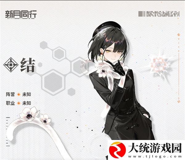 新月同行结性价比怎么样