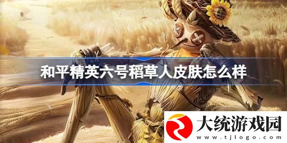 和平精英六号稻草人皮肤多少钱