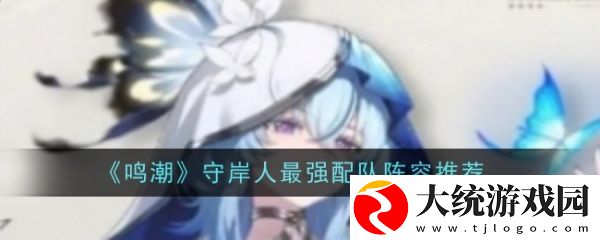 鸣潮守岸人怎么配队