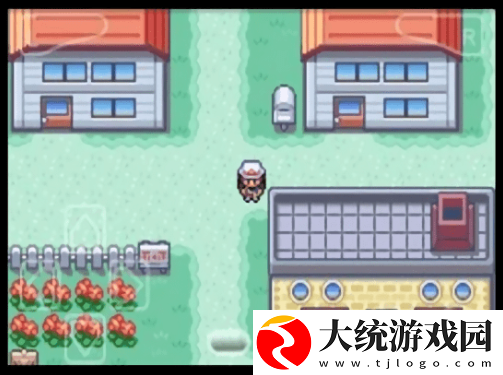 口袋妖怪圣灰汉化版作弊码