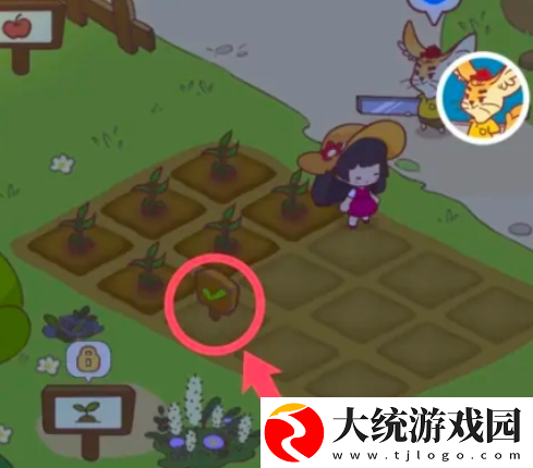 彩虹棉花糖小店购买8块田地任务怎么做