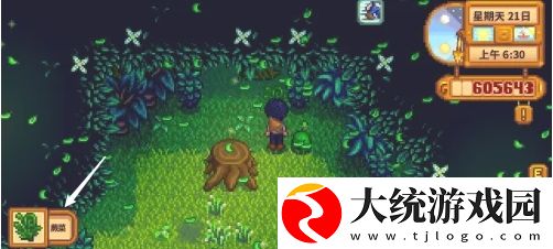 星露谷物语