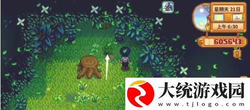 星露谷物语