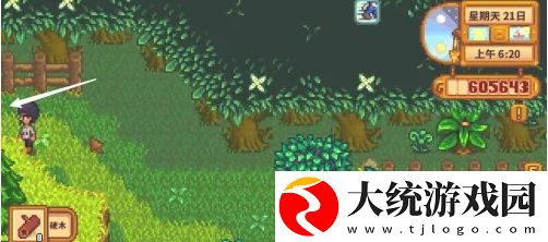 星露谷物语