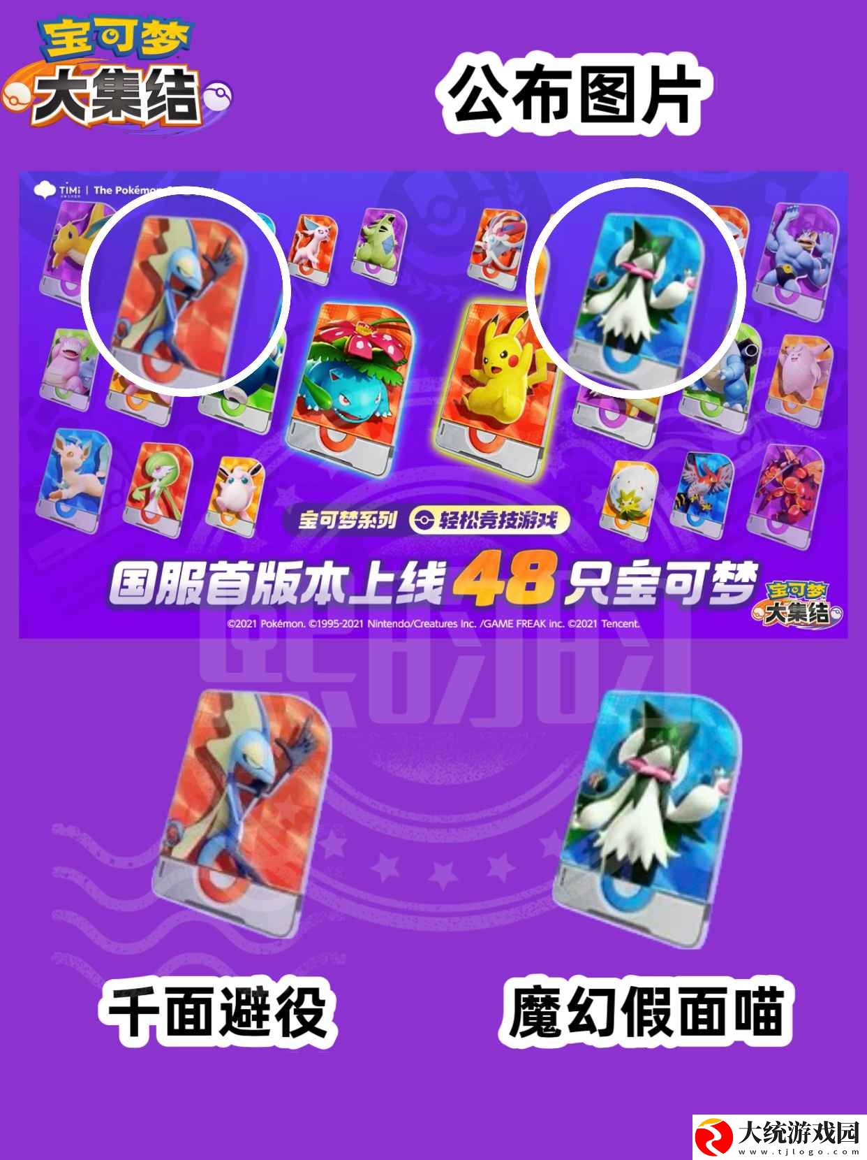 宝可梦大集结