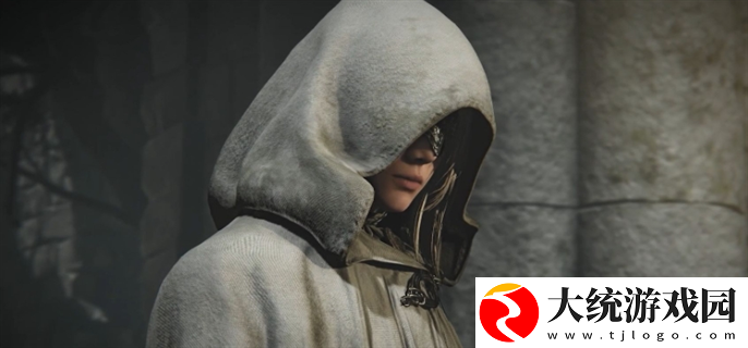 艾尔登法环黑夜君临可以几个人联机