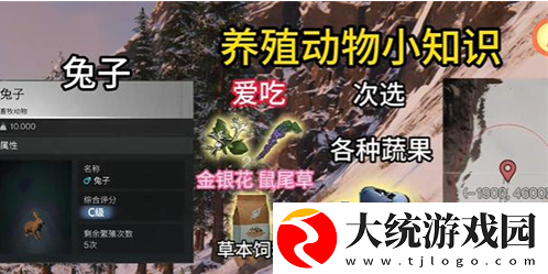 七日世界动物去哪里抓