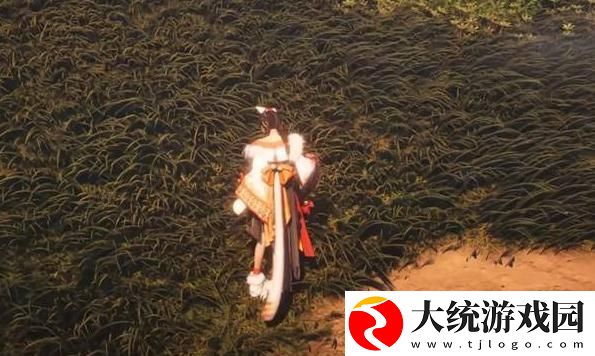 燕云十六声双剑流怎么玩